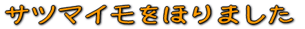 Tc}Cق܂